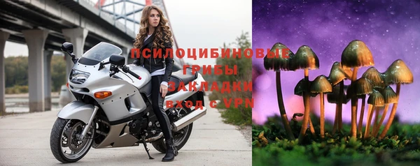 а пвп мука Алзамай