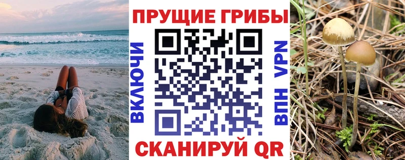 Псилоцибиновые грибы MAGIC MUSHROOMS  сколько стоит  Чебоксары 